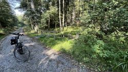 Brunnenwegquelle 02