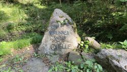 Brunnenwegquelle 05