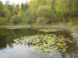 Heegkopfsee 13