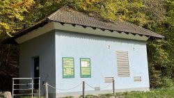 Kneipbecken 01