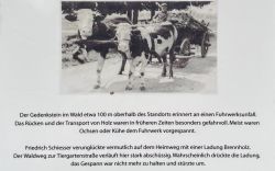 Schiesser Gedenkstein 01 u