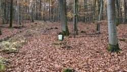 Schiesser Gedenkstein 02