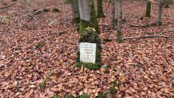 Schiesser Gedenkstein 03