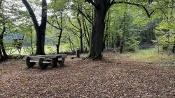 Sippachstrasse Gedenkstein 01