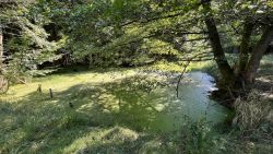 Veitsbrunnenn 04