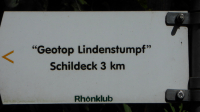lindenstumpf 1