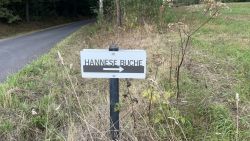 hannese buche 02