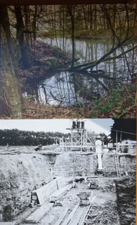 Tafel Seifriedsburg H